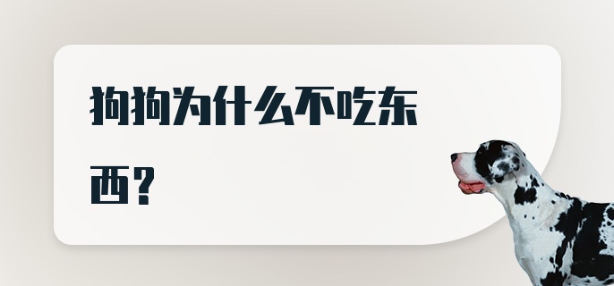 狗狗为什么不吃东西?