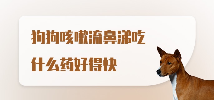 狗狗咳嗽流鼻涕吃什么药好得快