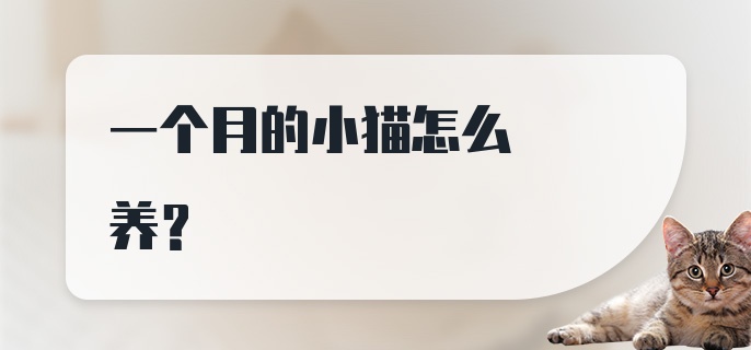 一个月的小猫怎么养？