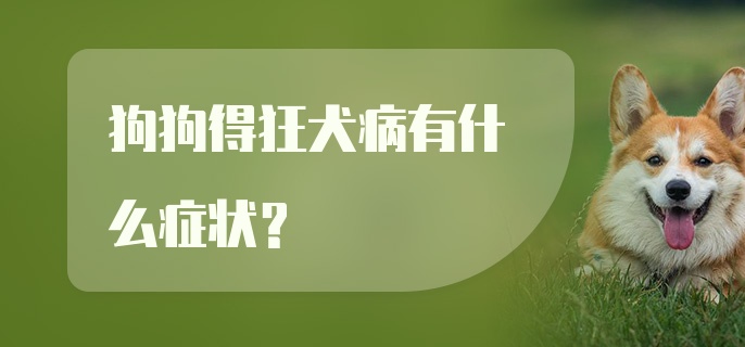 狗狗得狂犬病有什么症状？