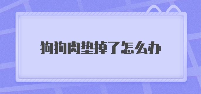 狗狗肉垫掉了怎么办