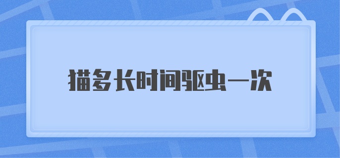 猫咪多长时间驱虫一次