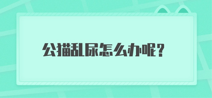 公猫乱尿怎么办呢？