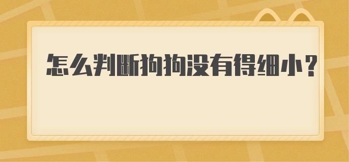 怎么判断狗狗没有得细小？