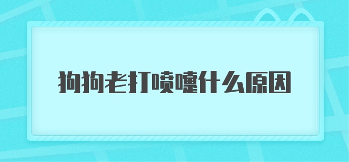 狗狗老打喷嚏什么原因