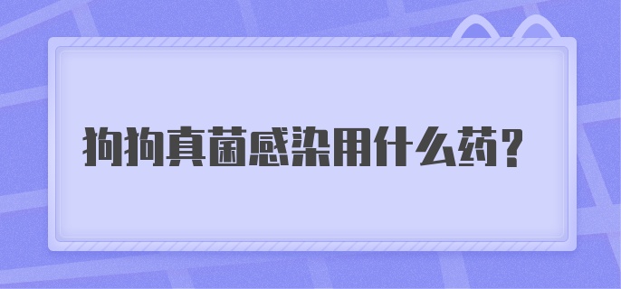 狗狗真菌感染用什么药？