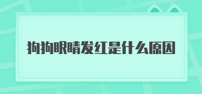 狗狗眼睛发红是什么原因