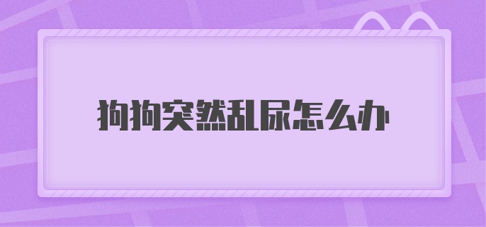 狗狗突然乱尿怎么办