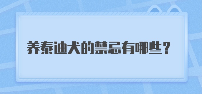 养泰迪犬的禁忌有哪些？