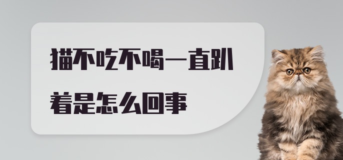 猫不吃不喝一直趴着是怎么回事