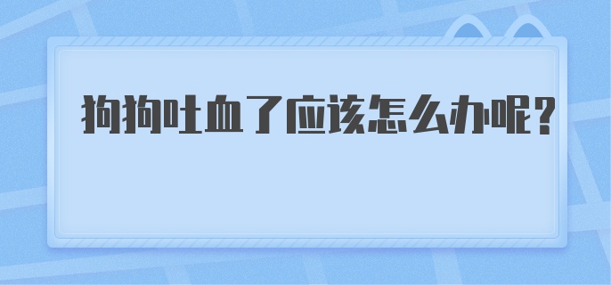 狗狗吐血了应该怎么办呢？