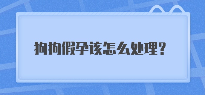 狗狗假孕该怎么处理？