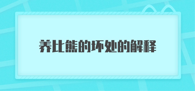 养比熊的坏处的解释