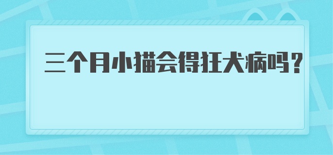 三个月小猫会得狂犬病吗？