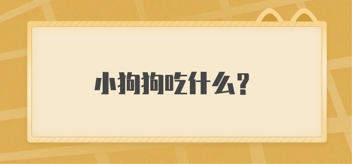 小狗狗吃什么？