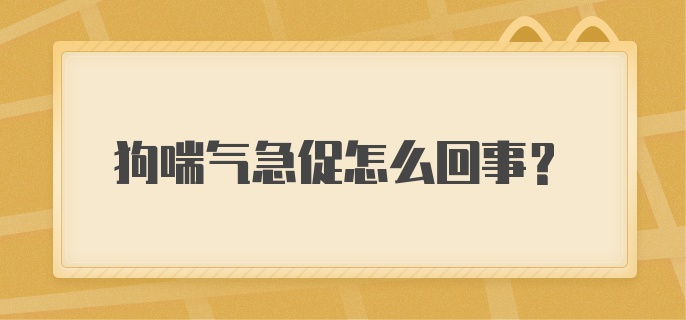 狗喘气急促怎么回事？