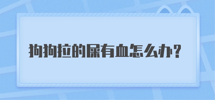 狗狗拉的屎有血怎么办？