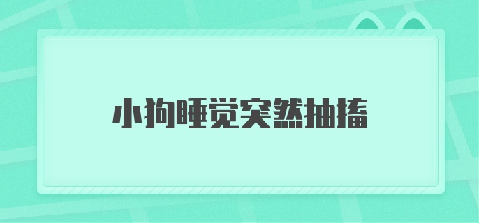 小狗睡觉突然抽搐