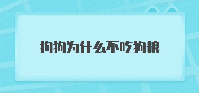 狗狗为什么不吃狗粮