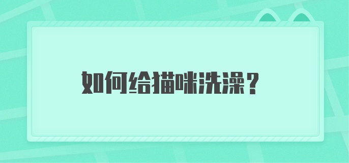 如何给猫咪洗澡？