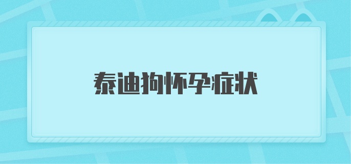 泰迪狗怀孕症状