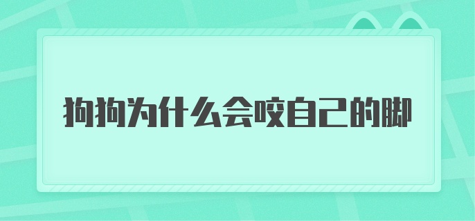 狗狗为什么会咬自己的脚