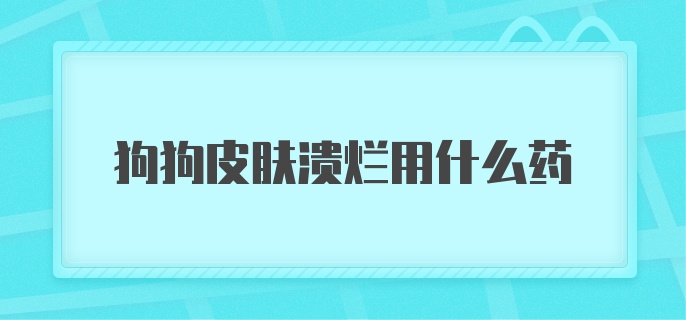 狗狗皮肤溃烂用什么药