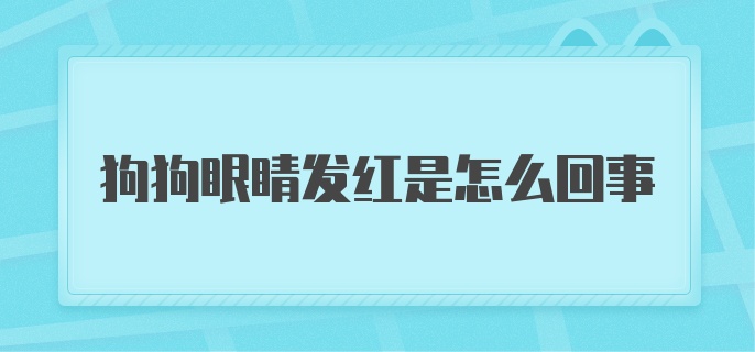 狗狗眼睛发红是怎么回事