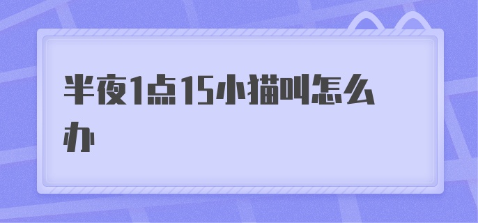 半夜1点15小猫叫怎么办