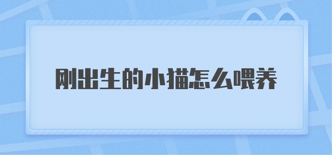 刚出生的小猫怎么喂养