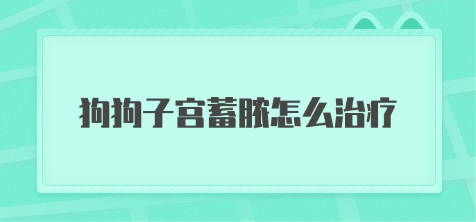 狗狗子宫蓄脓怎么治疗