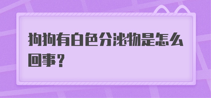 狗狗有白色分泌物是怎么回事？