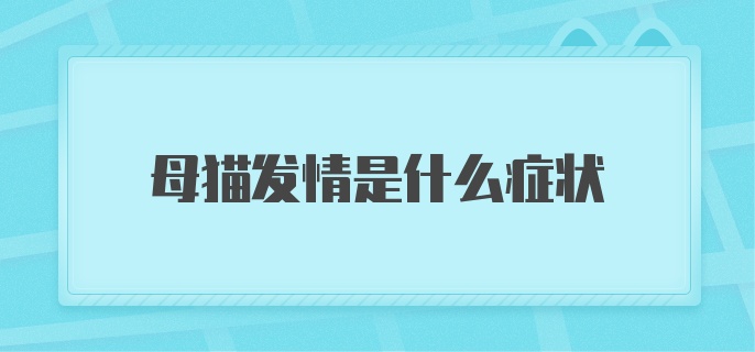 母猫发情是什么症状?