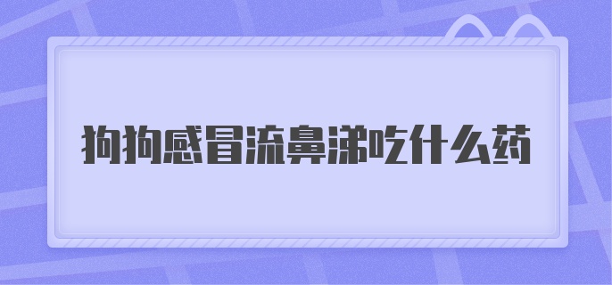 狗狗感冒流鼻涕吃什么药