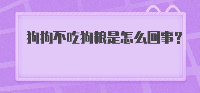 狗狗不吃狗粮是怎么回事？