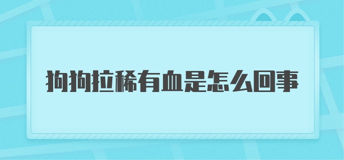 狗狗拉稀有血是怎么回事