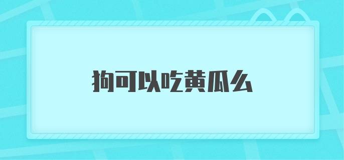 狗可以吃黄瓜么