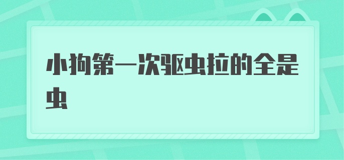 小狗第一次驱虫拉的全是虫