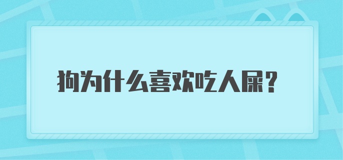 狗为什么喜欢吃人屎？