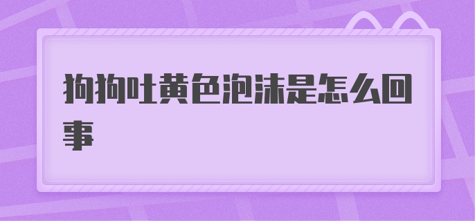 狗狗吐黄色泡沫是怎么回事