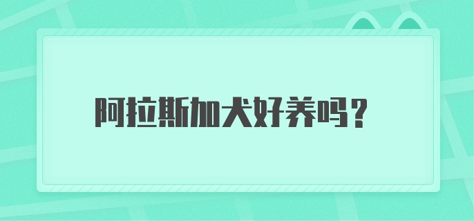 阿拉斯加犬好养吗?