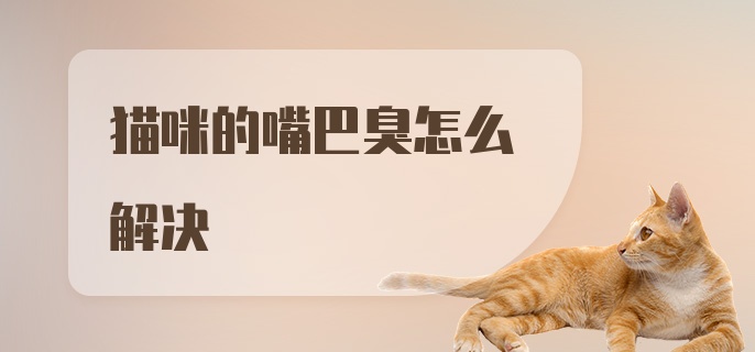 猫咪的嘴巴臭怎么解决