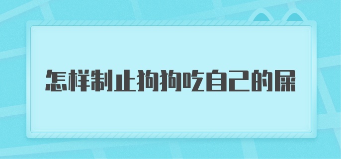 怎样制止狗狗吃自己的屎