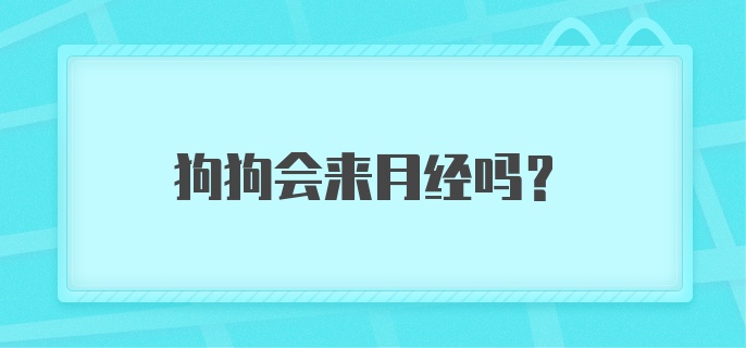 狗狗会来月经吗?