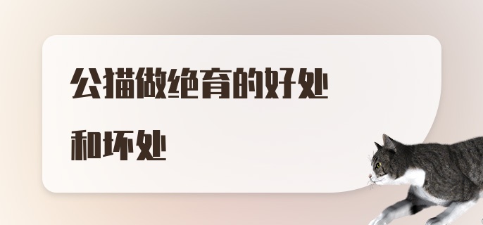 公猫做绝育的好处和坏处