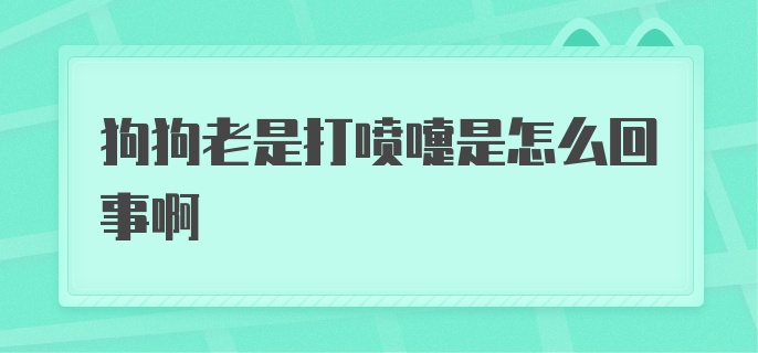 狗狗老是打喷嚏是怎么回事啊