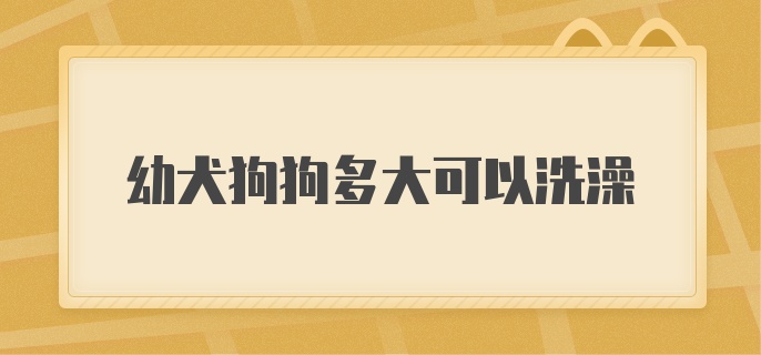 幼犬狗狗多大可以洗澡