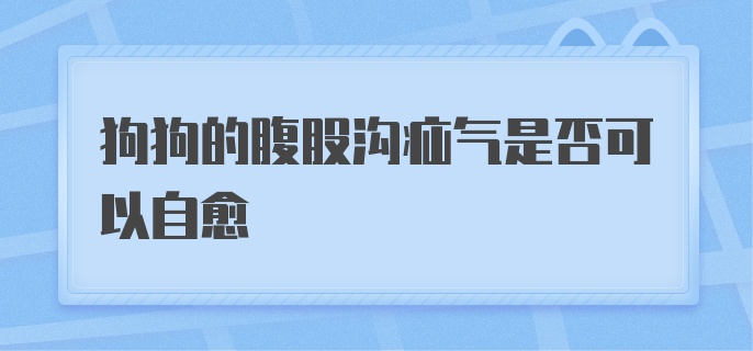 狗狗的腹股沟疝气是否可以自愈