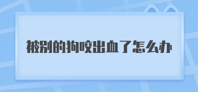 被别的狗咬出血了怎么办