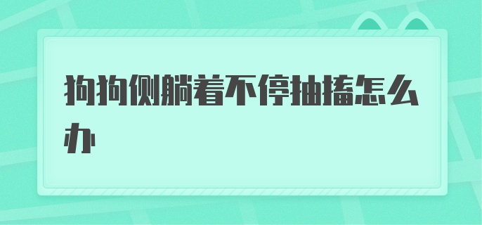 狗狗侧躺着不停抽搐怎么办